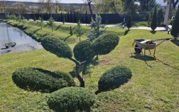 gardenup_sadovi_poslugy_lviv_00004