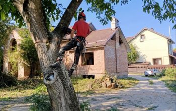 gardenup_zrizannia_derev_lviv_00008